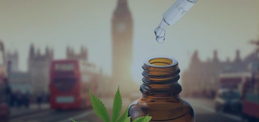 List of best CBD oil for anxiety